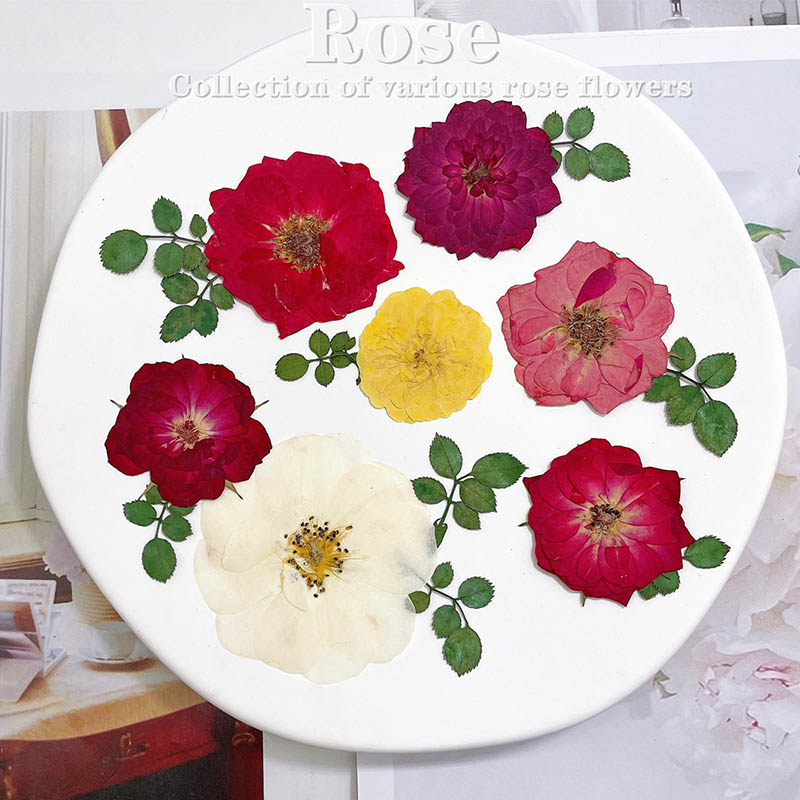 Body Jewelry Display Case - 60 ชิ้น Pressed แห้งสีแดงสีเหลืองสีชมพู Rose ดอกไม้พืชสมุนไพรสําหรับเครื่องประดับ