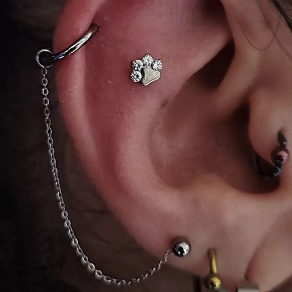 โซ่จมูกไทเทเนียม 3 ชั้น โซ่คู่ - Body Jewelry Ear Piercing บทวิจารณ์และราคา