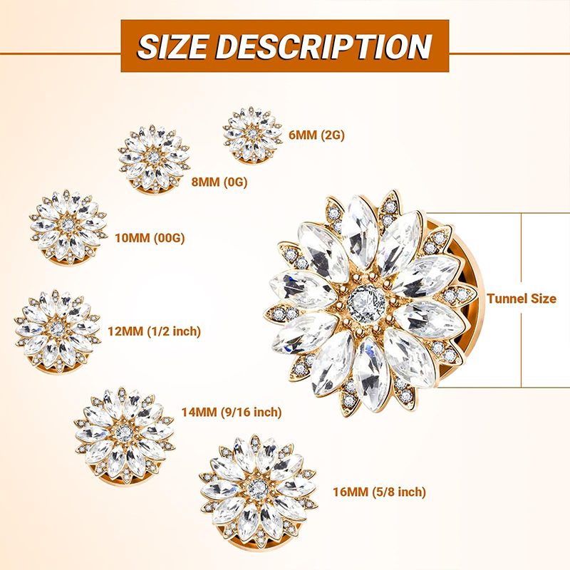 จุกอุดหูและท่อขยายหูประดับเพชร - Body Jewelry Ear Piercing บทวิจารณ์และราคา
