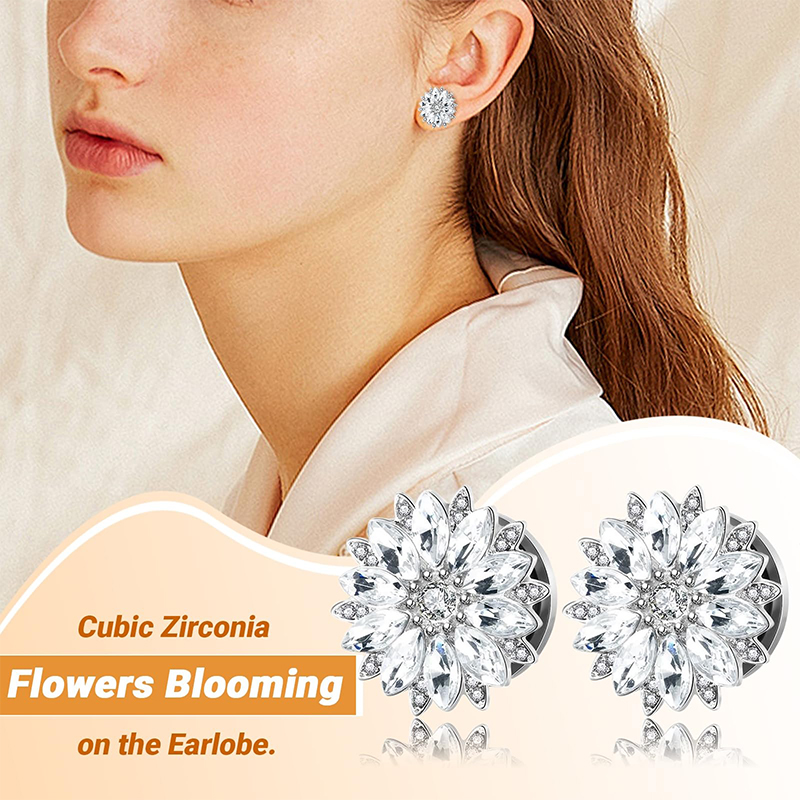 จุกอุดหูและท่อขยายหูประดับเพชร - Body Jewelry Ear Piercing บทวิจารณ์และราคา