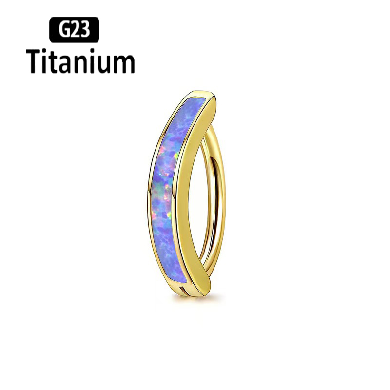 1PC 14G Implant เกรด G23 ไทเทเ - Body Jewelry Implants บทวิจารณ์และราคา
